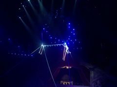 -珠海横琴长隆《卡卡虎奇遇记》