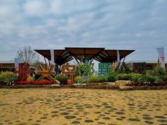 -上海长兴岛郊野公园