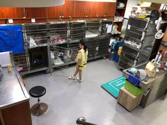 -安安宠医宠物医院·异宠·犬猫内科(岳阳分院)