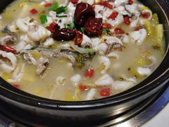 -周渝食惦酸菜鱼(青浦店)