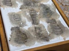 -官塘锋记鱼生·生腌·砂锅粥(牌坊街店)