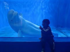 -多彩贵州城极地海洋世界