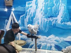 -成都浩海立方海洋公园