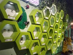 -萌宠奇缘(荣鼎店)