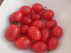 -麦德龙(郑东店)