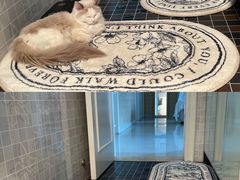 -读宠于你·约克夏比熊·睫角守宫·爬宠售卖(高新店)