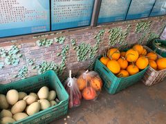 各种瓜果-庞各庄翠芳园西瓜蔬菜基地采摘园