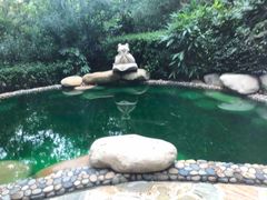 -天目湖涵田半山温泉