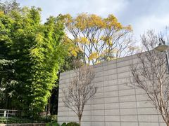 -云南师范大学(一二一西南联大校区)