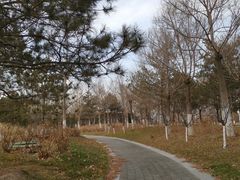 -缘福乡村铁锅炖民宿(八达岭店)
