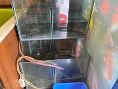 -鱼众不同·鸡公煲·烤全鱼(国顺路店)