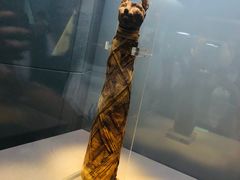 -浙江西湖美术馆