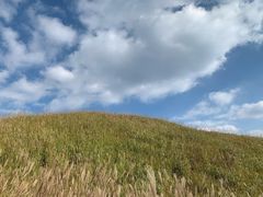 -萍乡武功山风景名胜区