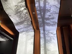 -haxnbauer海森堡德国餐厅(深圳coco店)