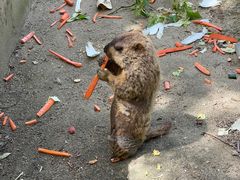 -常州淹城野生动物世界