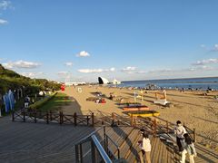 -碧海金沙