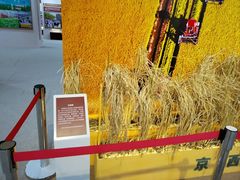 -中国农业博物馆