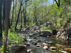 -玉渡山自然风景区