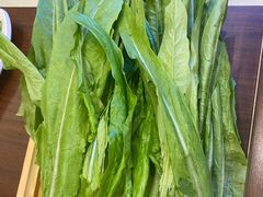 油麦菜-蝎王府羊蝎子(虎坊桥总店)