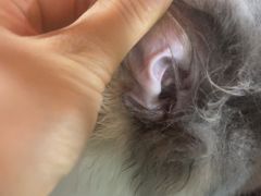 -佳雯宠物医院·皮肤科·内外科(春晓路分院)