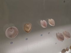 -青岛贝壳博物馆