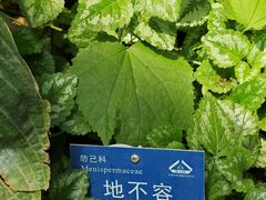 -国家植物园南园