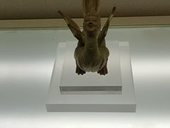 -岳阳市博物馆