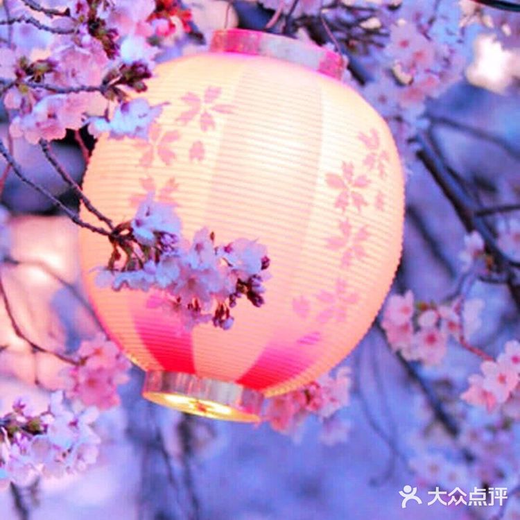 自由，呼吸的日子也不远了。