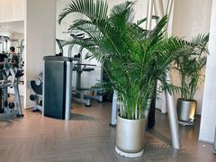 -YCHL FIT 健身(星寰店)