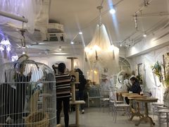 大堂-共舞时光猫咖·狗咖(新街口店)