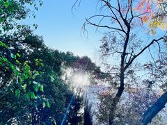 -河姆渡遗址博物馆