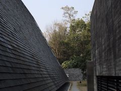 -美丽洲堂