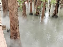 -东湖落雁景区