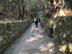 -普陀山风景区-佛顶山
