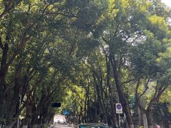 -杭州半山国家森林公园