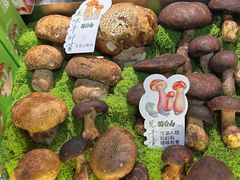 -菌自由丨野生菌火锅特色庭院餐厅(丽江古城店)