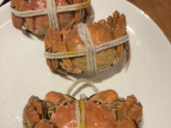 -嘉定凯悦·咖啡厅