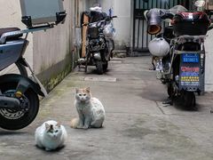 -上海市黄浦区牙病防治所(江西中路门诊部)