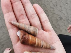 -椰风寨