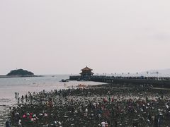 -栈桥景区