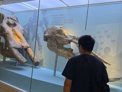 -国家自然博物馆