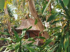 -北京植物园-展览温室