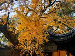 -无锡惠山寺