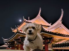 -集美鳌园景区