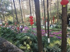 -忠山公园