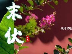 -姥姥家春饼店(佳亿时尚广场店)