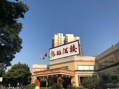 -龙的酒楼·手工早茶·顺德菜(近良路店)