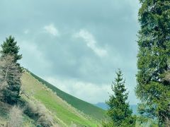 -新疆那拉提国家旅游度假区