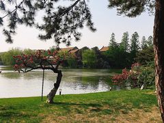 -钓鱼台国宾馆