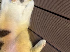 -顽啤熊·酒客酒馆(苏城夜景必选店)